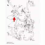 Патрубок, Шлангочки